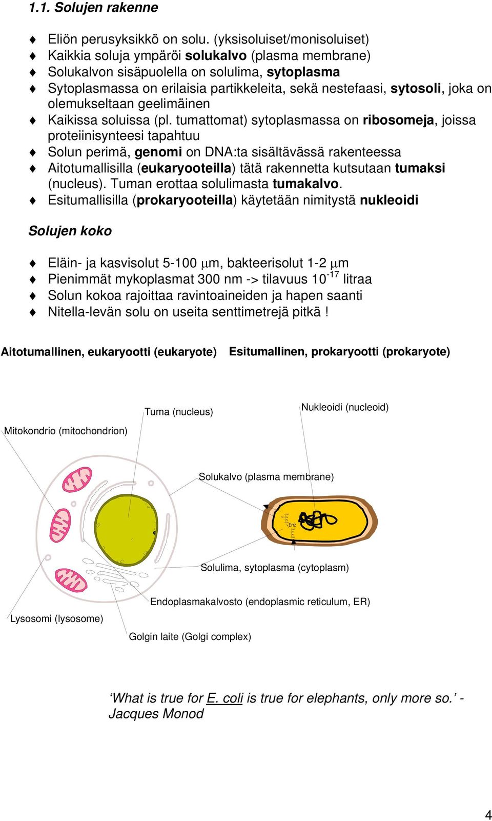 joka on olemukseltaan geelimäinen Kaikissa soluissa (pl.