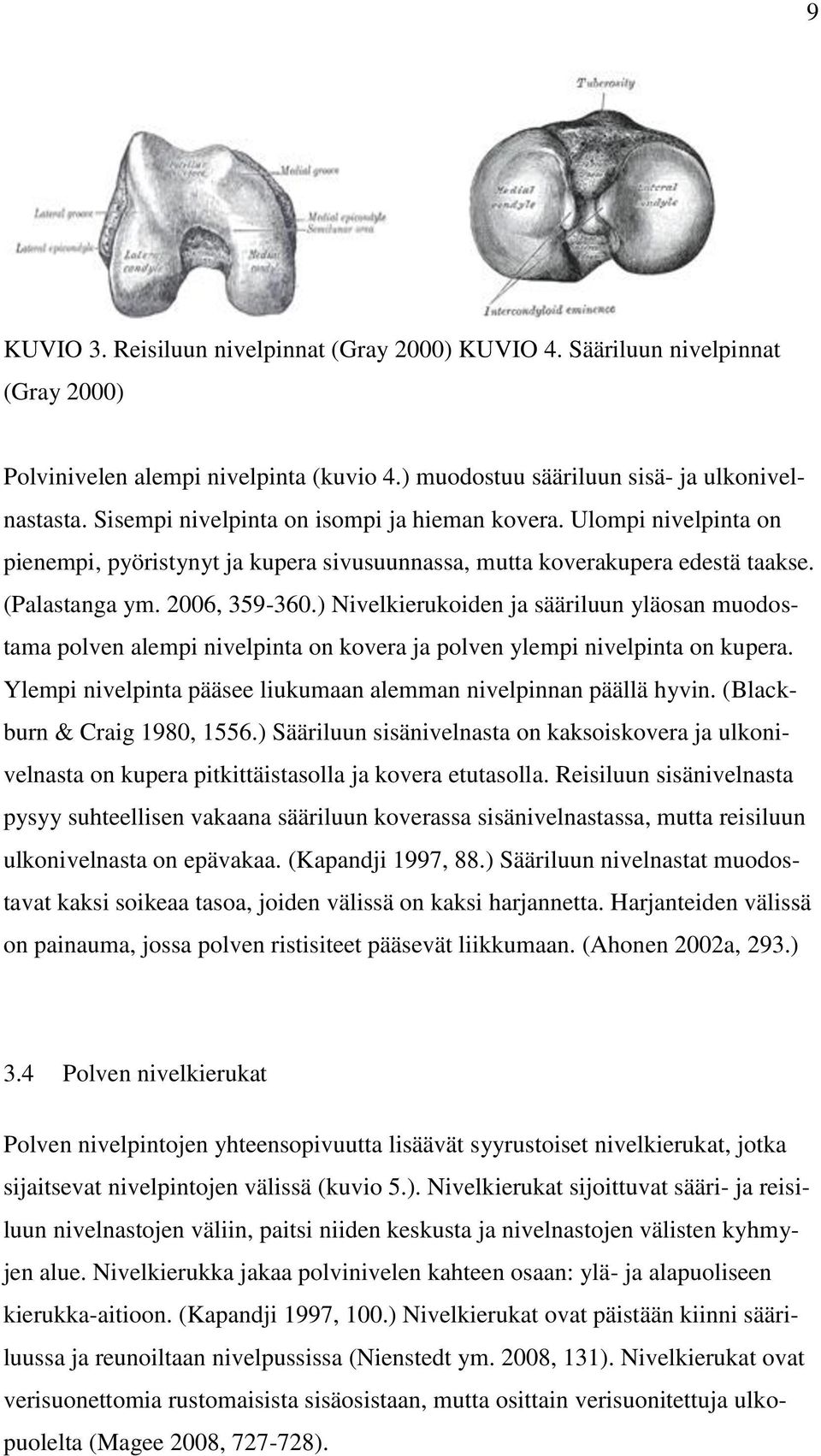 ) Nivelkierukoiden ja sääriluun yläosan muodostama polven alempi nivelpinta on kovera ja polven ylempi nivelpinta on kupera. Ylempi nivelpinta pääsee liukumaan alemman nivelpinnan päällä hyvin.