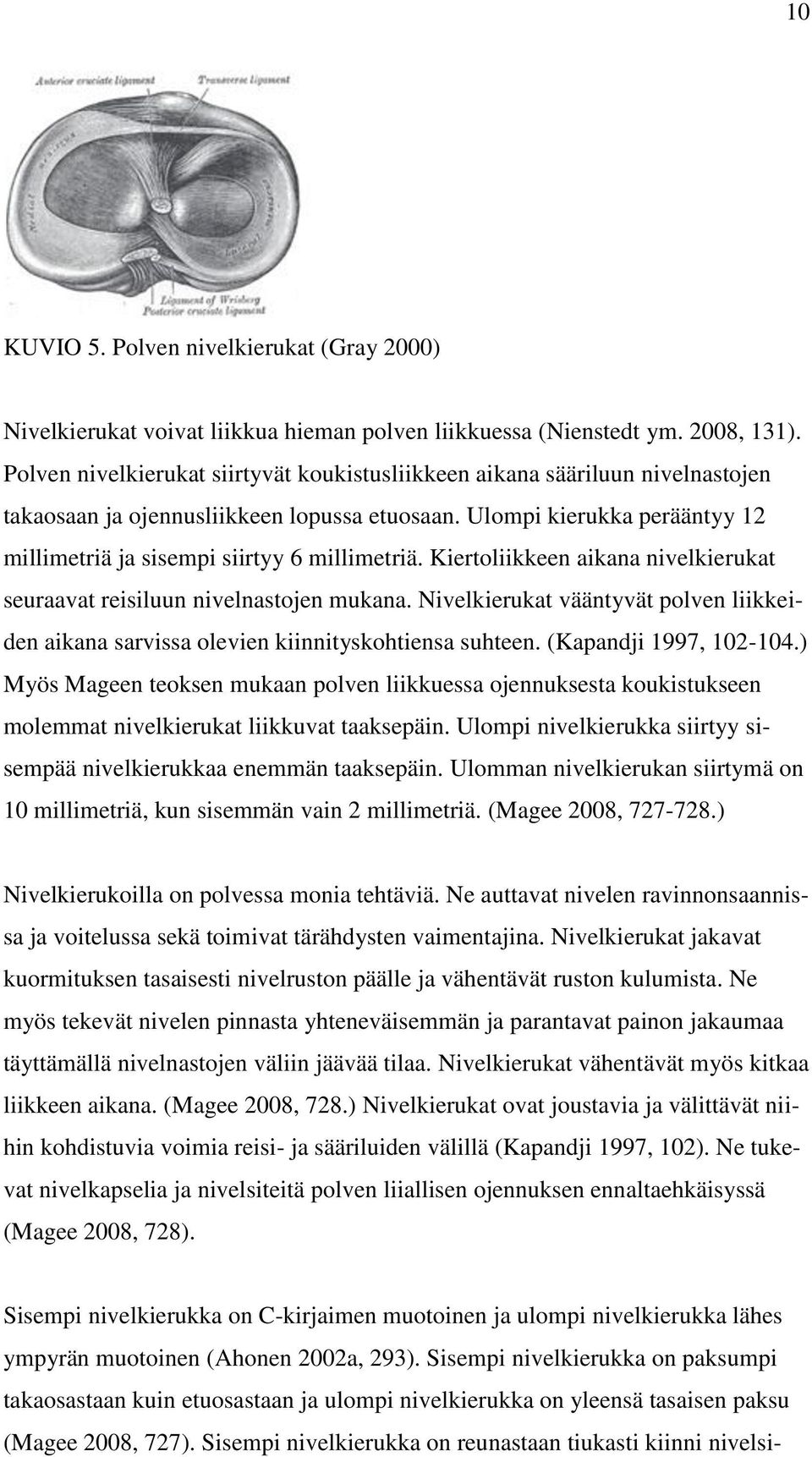 Ulompi kierukka perääntyy 12 millimetriä ja sisempi siirtyy 6 millimetriä. Kiertoliikkeen aikana nivelkierukat seuraavat reisiluun nivelnastojen mukana.