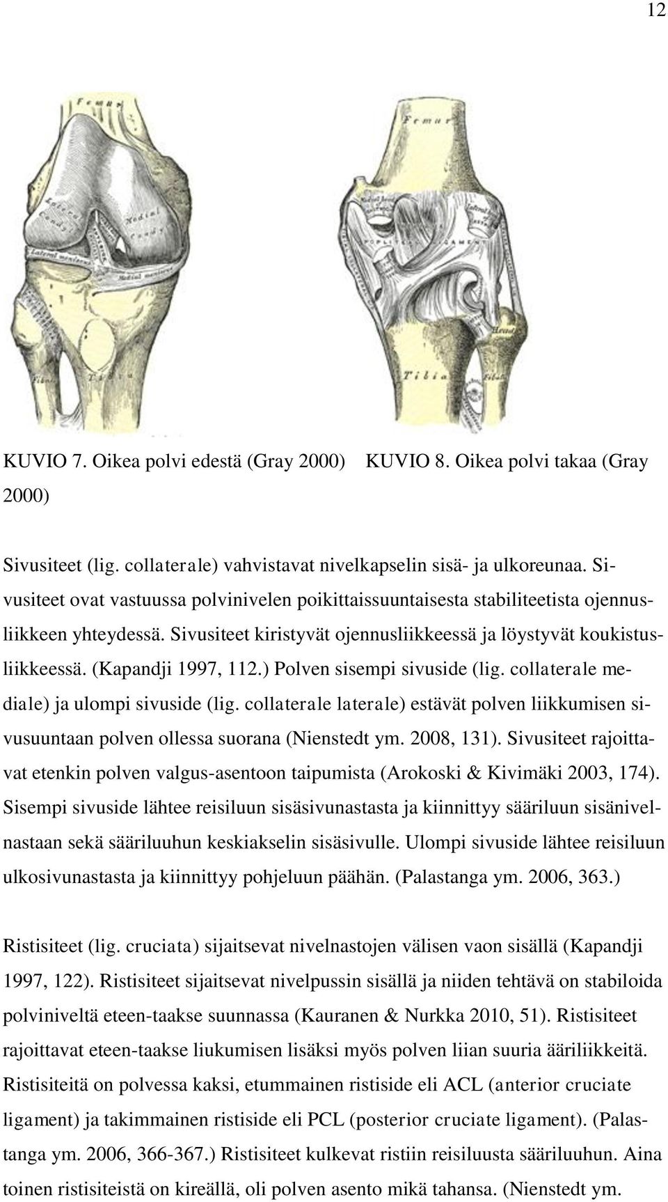 ) Polven sisempi sivuside (lig. collaterale mediale) ja ulompi sivuside (lig. collaterale laterale) estävät polven liikkumisen sivusuuntaan polven ollessa suorana (Nienstedt ym. 2008, 131).