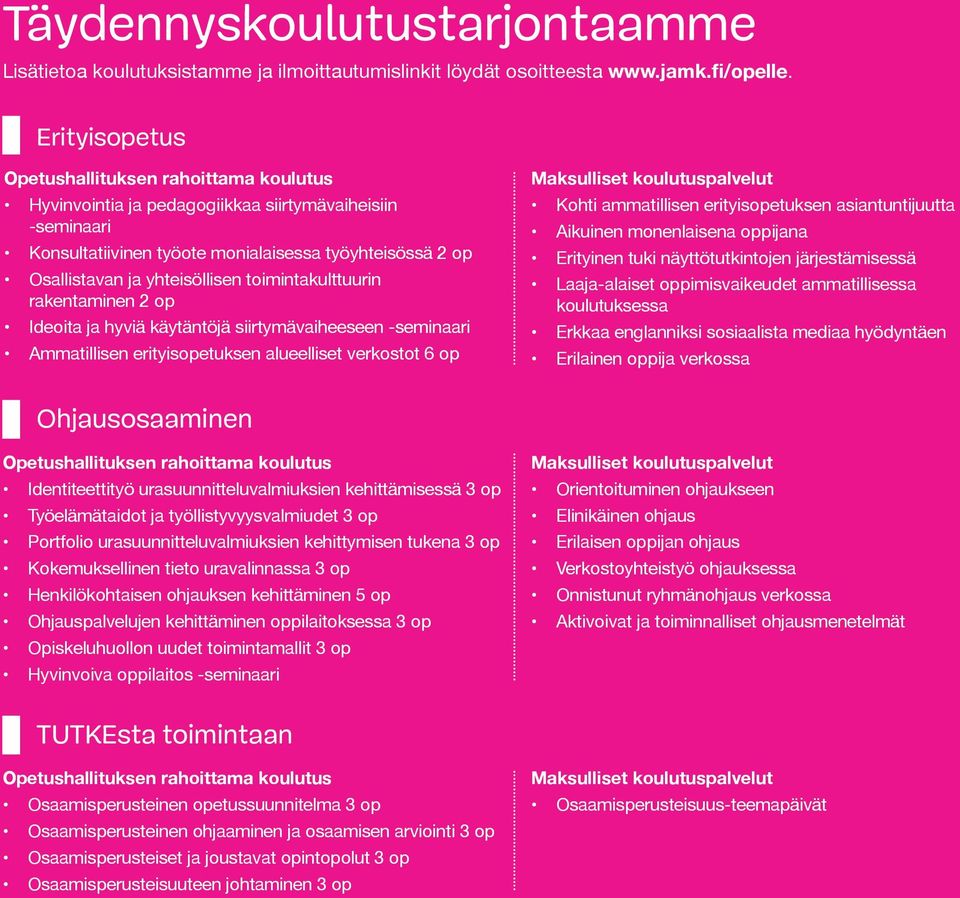 Ideoita ja hyviä käytäntöjä siirtymävaiheeseen -seminaari Ammatillisen erityisopetuksen alueelliset verkostot 6 op Kohti ammatillisen erityisopetuksen asiantuntijuutta Aikuinen monenlaisena oppijana