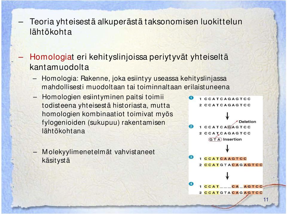 toiminnaltaan erilaistuneena Homologien esiintyminen paitsi toimii todisteena yhteisestä historiasta, mutta