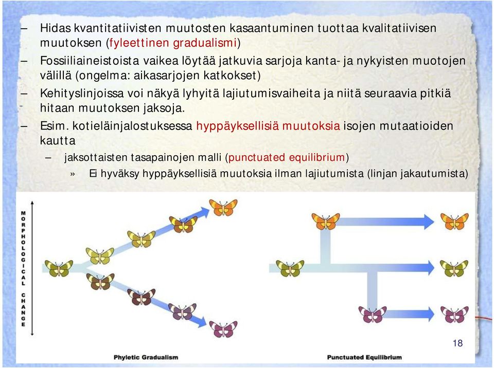 lajiutumisvaiheita ja niitä seuraavia pitkiä hitaan muutoksen jaksoja. Esim.