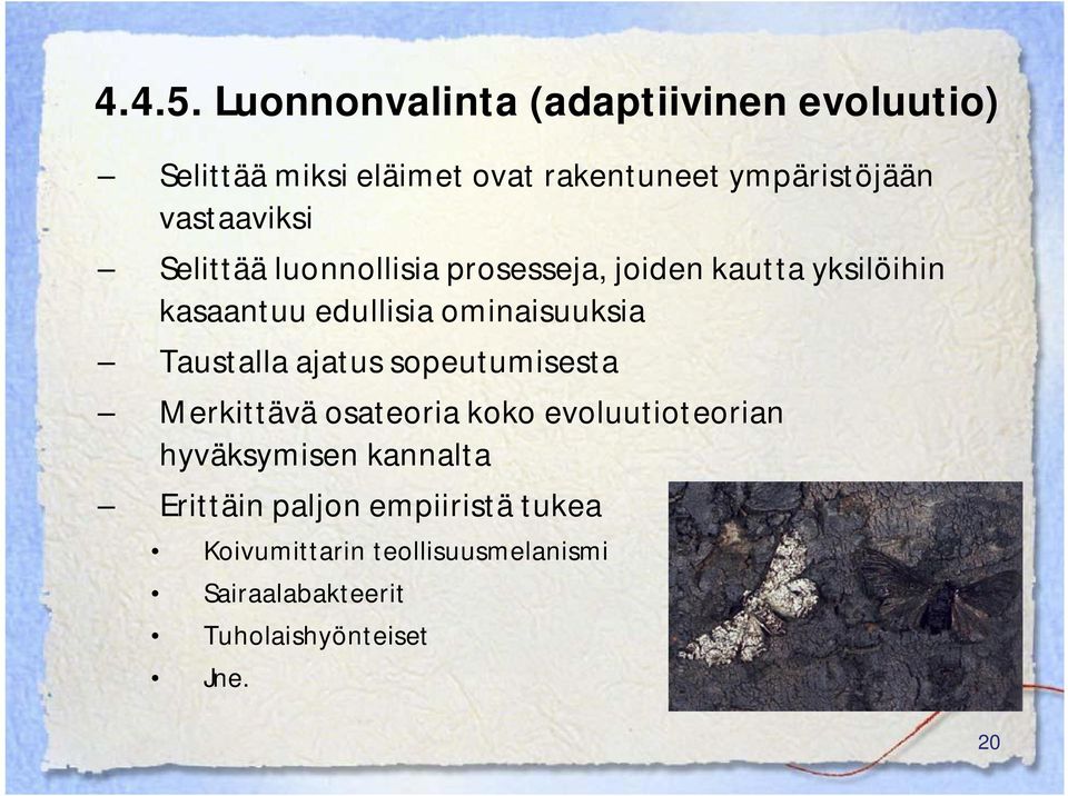 vastaaviksi Selittää luonnollisia prosesseja, joiden kautta yksilöihin kasaantuu edullisia