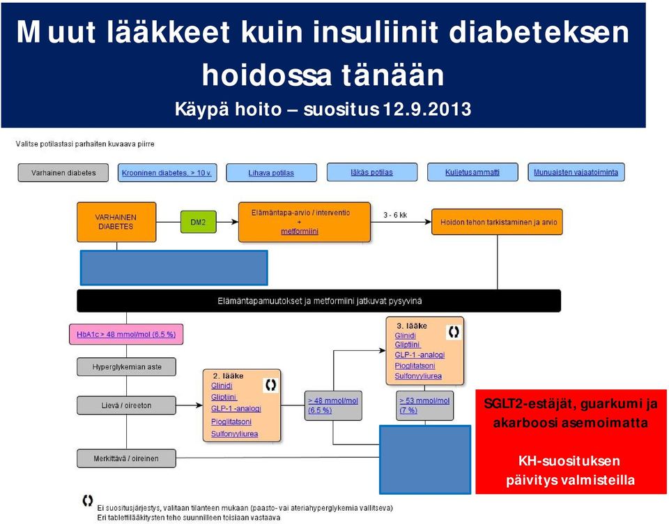 2013 SGLT2-estäjät, guarkumi ja akarboosi