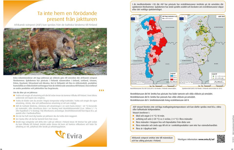 Afrikansk svinpest (ASF) kan spridas från de baltiska länderna till Finland Evira rekommenderar att inga jaktresor på vildsvin görs till områden där afrikansk svinpest förekommer.