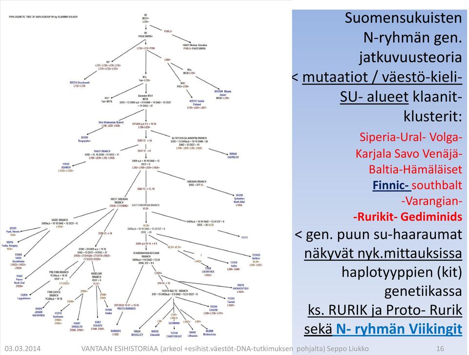 Venäjä- Baltia-Hämäläiset Finnic- southbalt -Varangian- -Rurikit- Gediminids < gen.