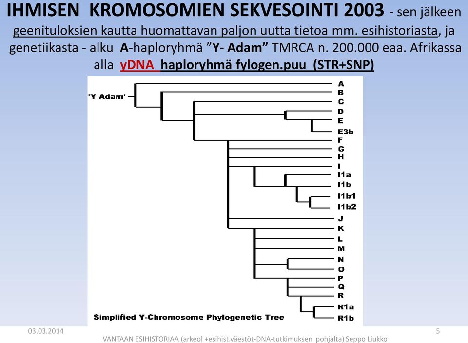 esihistoriasta, ja genetiikasta - alku A-haploryhmä Y- Adam TMRCA n. 200.000 eaa.