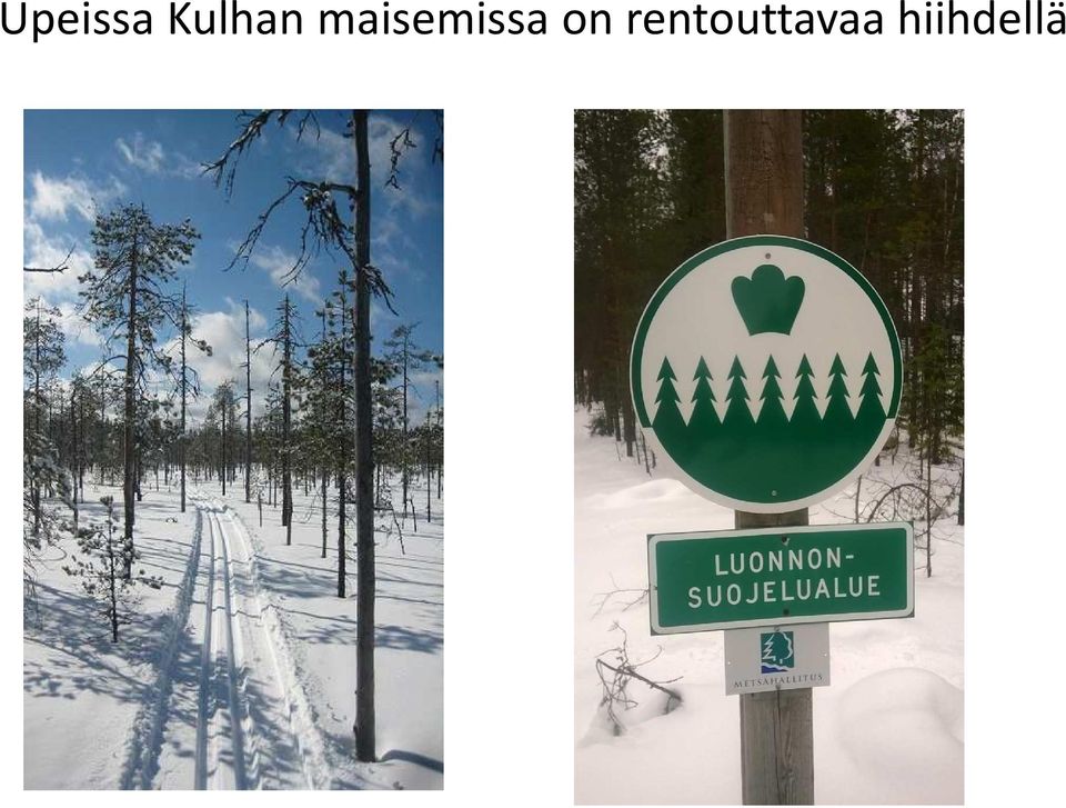 maisemissa