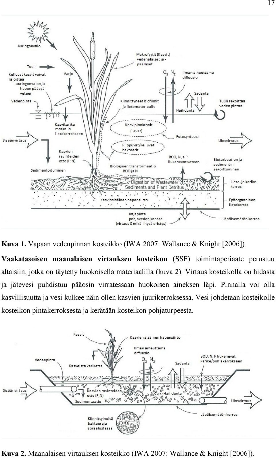 Virtaus kosteikolla on hidasta ja jätevesi puhdistuu pääosin virratessaan huokoisen aineksen läpi.