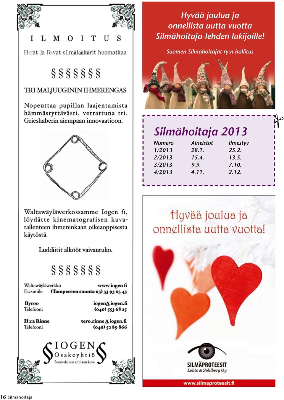 Suomen Silmähoitajat ry:n hallitus Silmähoitaja 2013 Numero