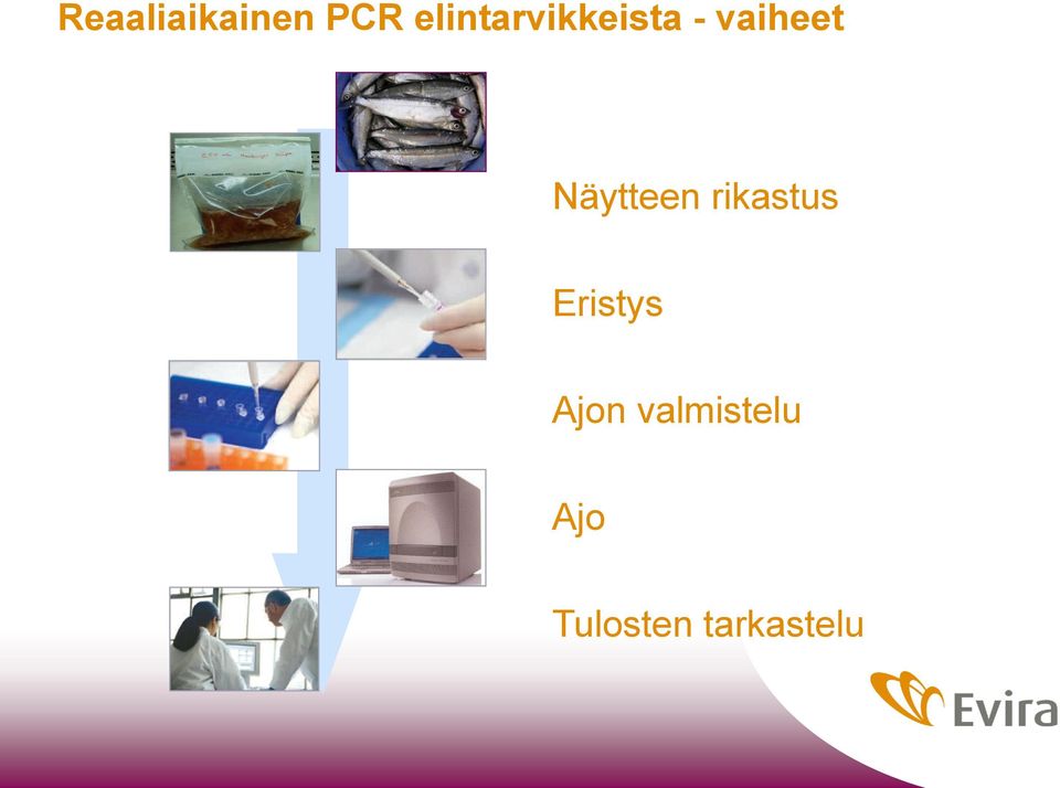 Näytteen rikastus Eristys