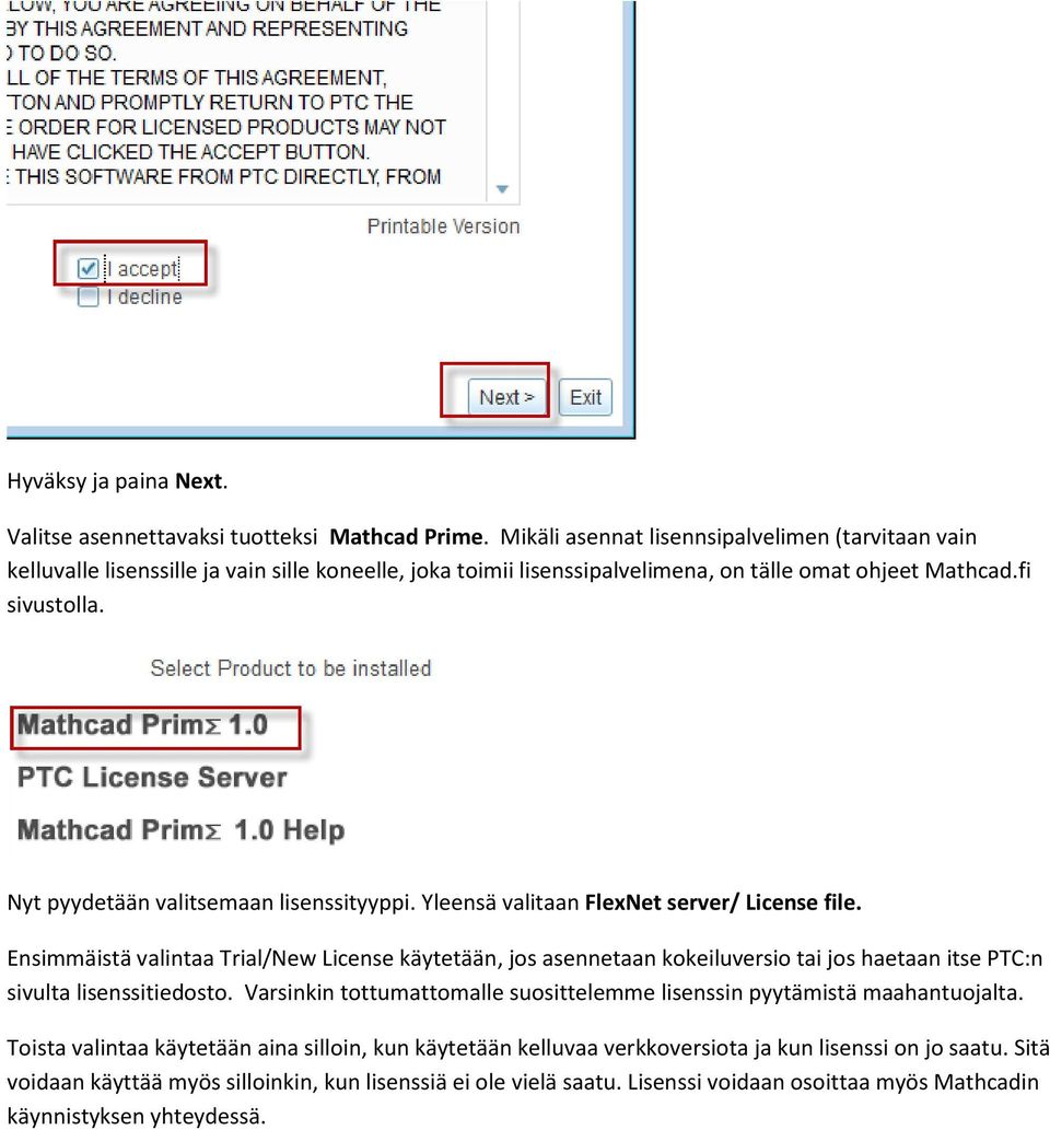 Nyt pyydetään valitsemaan lisenssityyppi. Yleensä valitaan FlexNet server/ License file.