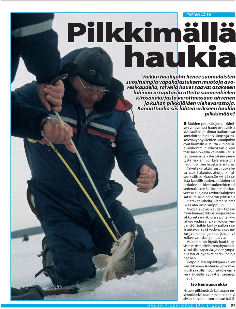 Muiden petokalojen pilkkimisen yhteydessä hauet ovat yleisiä sivusaaliina ja siimat katkottavat kontaktit näihin kaislikkojen ja rakkolevävyöhykkeiden vaanijoihin ovat harmillisia.