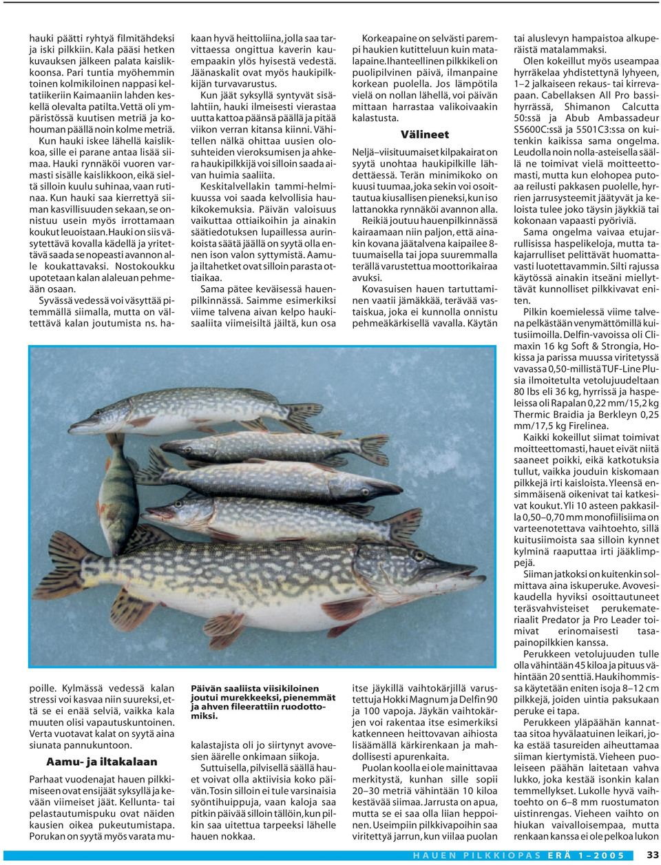 Kun hauki iskee lähellä kaislikkoa, sille ei parane antaa lisää siimaa. Hauki rynnäköi vuoren varmasti sisälle kaislikkoon, eikä sieltä silloin kuulu suhinaa, vaan rutinaa.