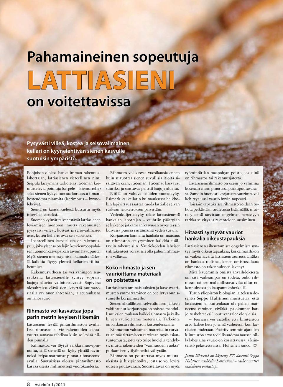 ilmankosteudessa pisaroita (lacrimosus kyynelehtivä). Sientä on kansankielessä kutsuttu myös itkeväksi sieneksi.