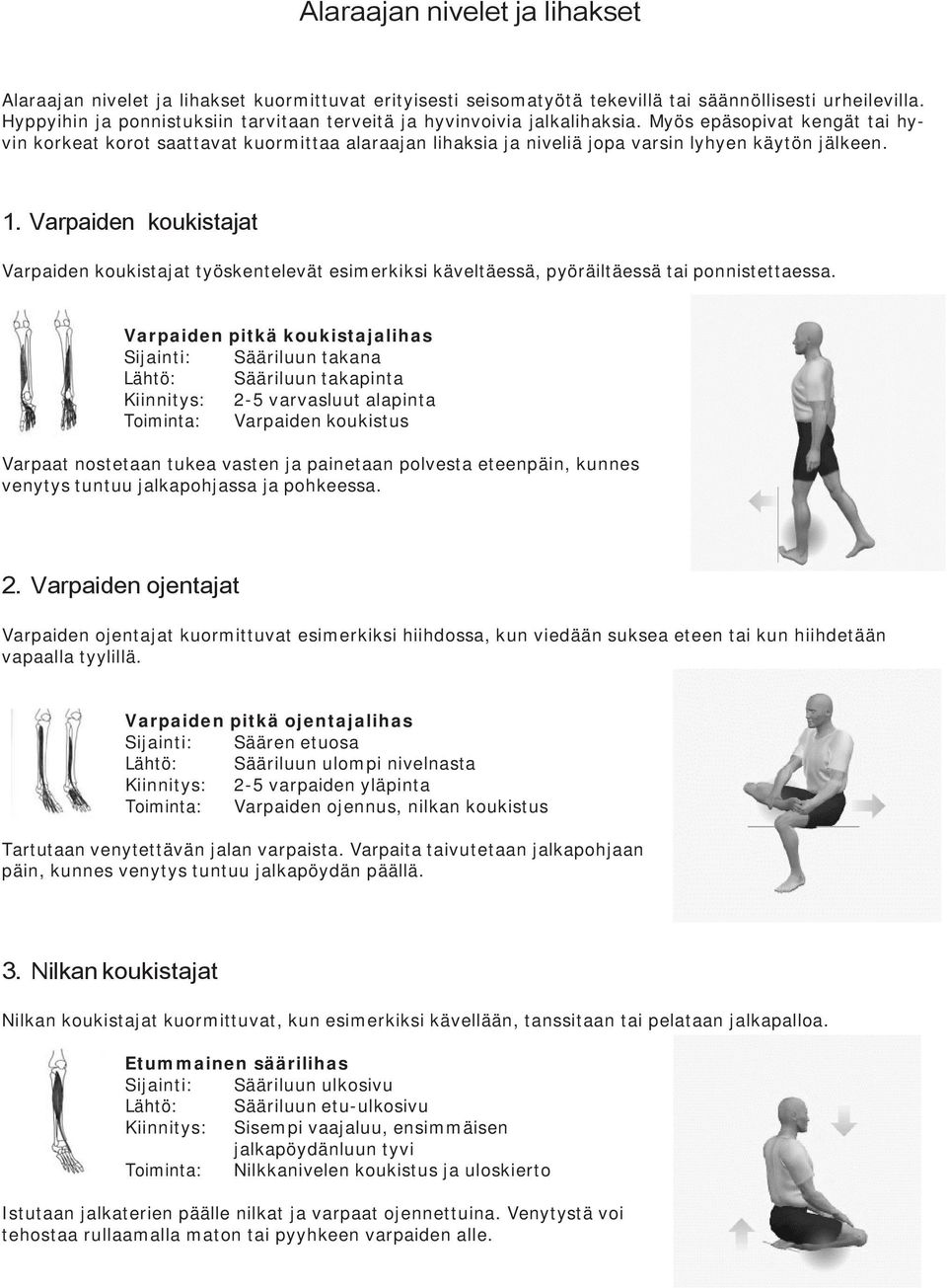 Myös epäsopivat kengät tai hyvin korkeat korot saattavat kuormittaa alaraajan lihaksia ja niveliä jopa varsin lyhyen käytön jälkeen. 1.