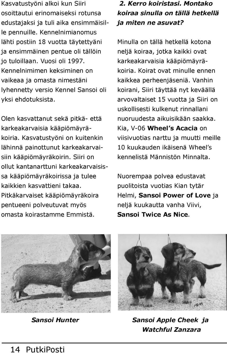 karkeakarvaisia kääpiömäyrä ja ensimmäinen pentue oli tällöin Kennelnimimen keksiminen on vaikeaa ja omasta nimestäni lyhennetty versio Kennel Sansoi oli yksi ehdotuksista.