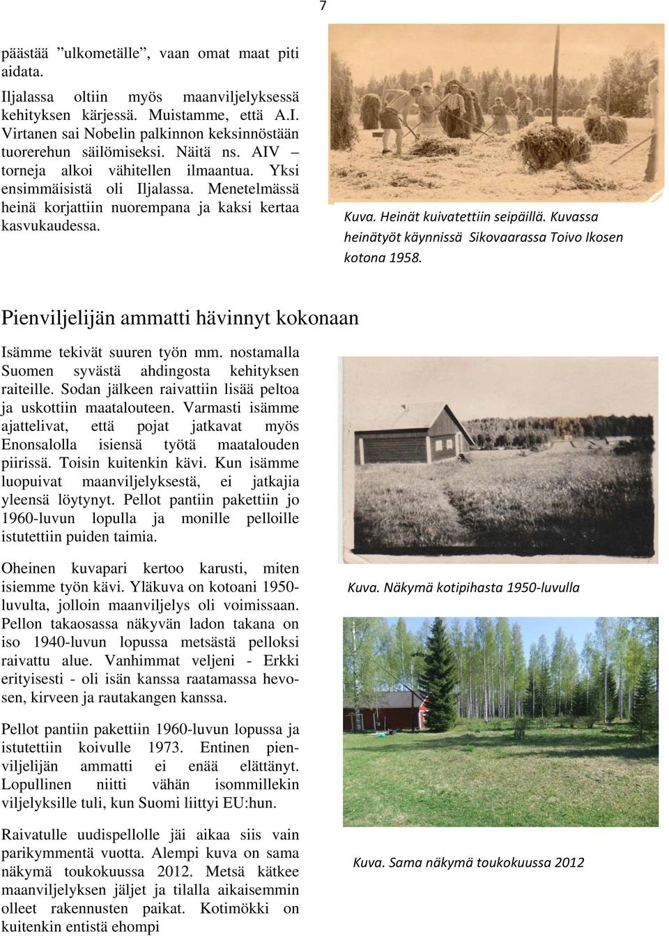 Kuvassa heinätyöt käynnissä Sikovaarassa Toivo Ikosen kotona 1958. Pienviljelijän ammatti hävinnyt kokonaan Isämme tekivät suuren työn mm. nostamalla Suomen syvästä ahdingosta kehityksen raiteille.