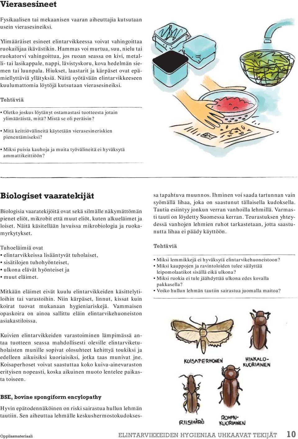 Hiukset, laastarit ja kärpäset ovat epämiellyttäviä yllätyksiä. Näitä syötävään elintarvikkeeseen kuulumattomia löytöjä kutsutaan vierasesineiksi.