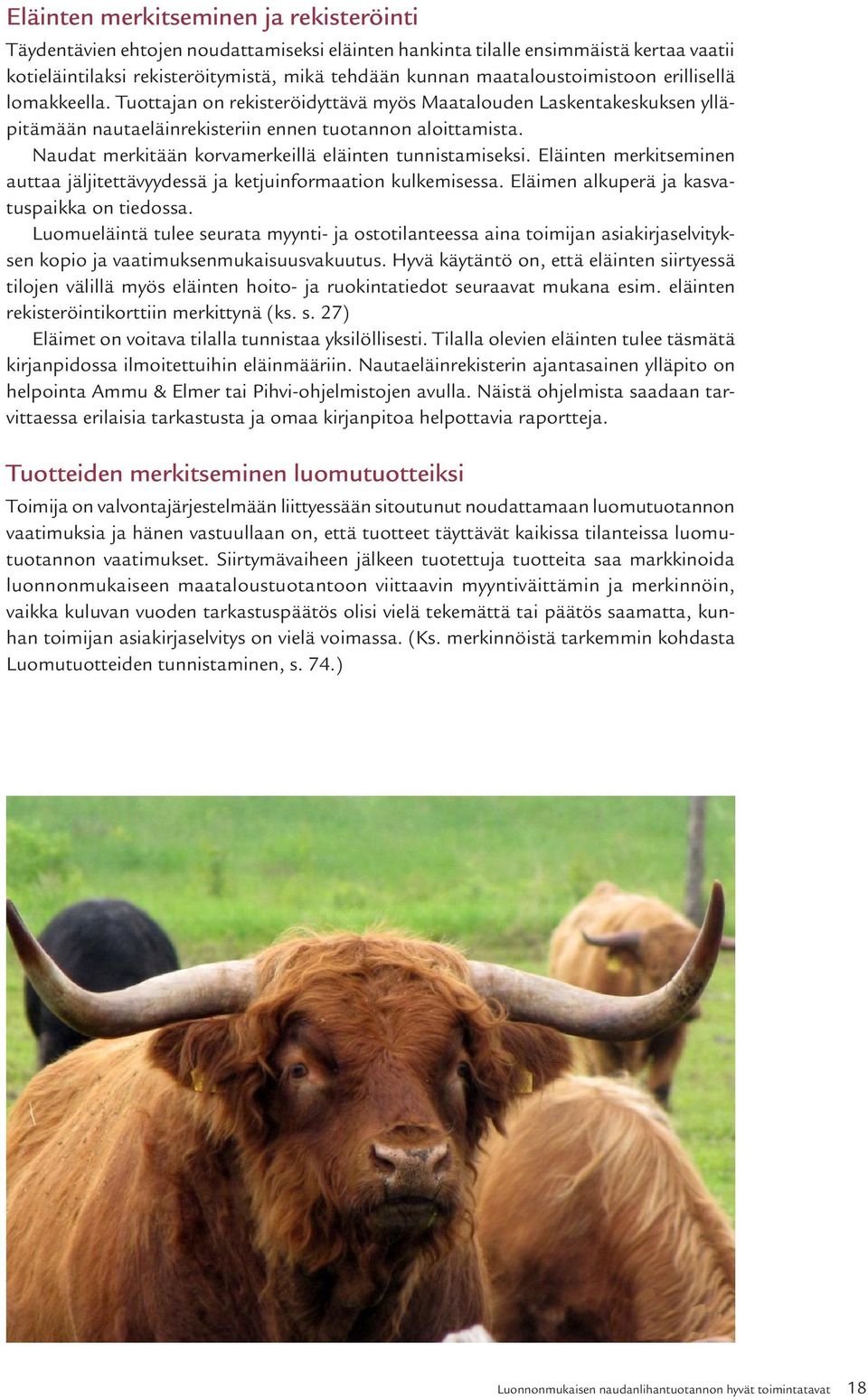 Naudat merkitään korvamerkeillä eläinten tunnistamiseksi. Eläinten merkitseminen auttaa jäljitettävyydessä ja ketjuinformaation kulkemisessa. Eläimen alkuperä ja kasvatuspaikka on tiedossa.
