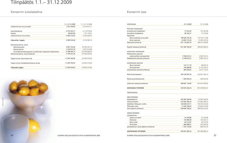 Arvonalentumiset pysyvien ja vaihtuvien vastaavien sijoituksista Rahoitustuotot ja -kulut yhteensä Tappio ennen satunnaisia eriä 1.1. 31.12.