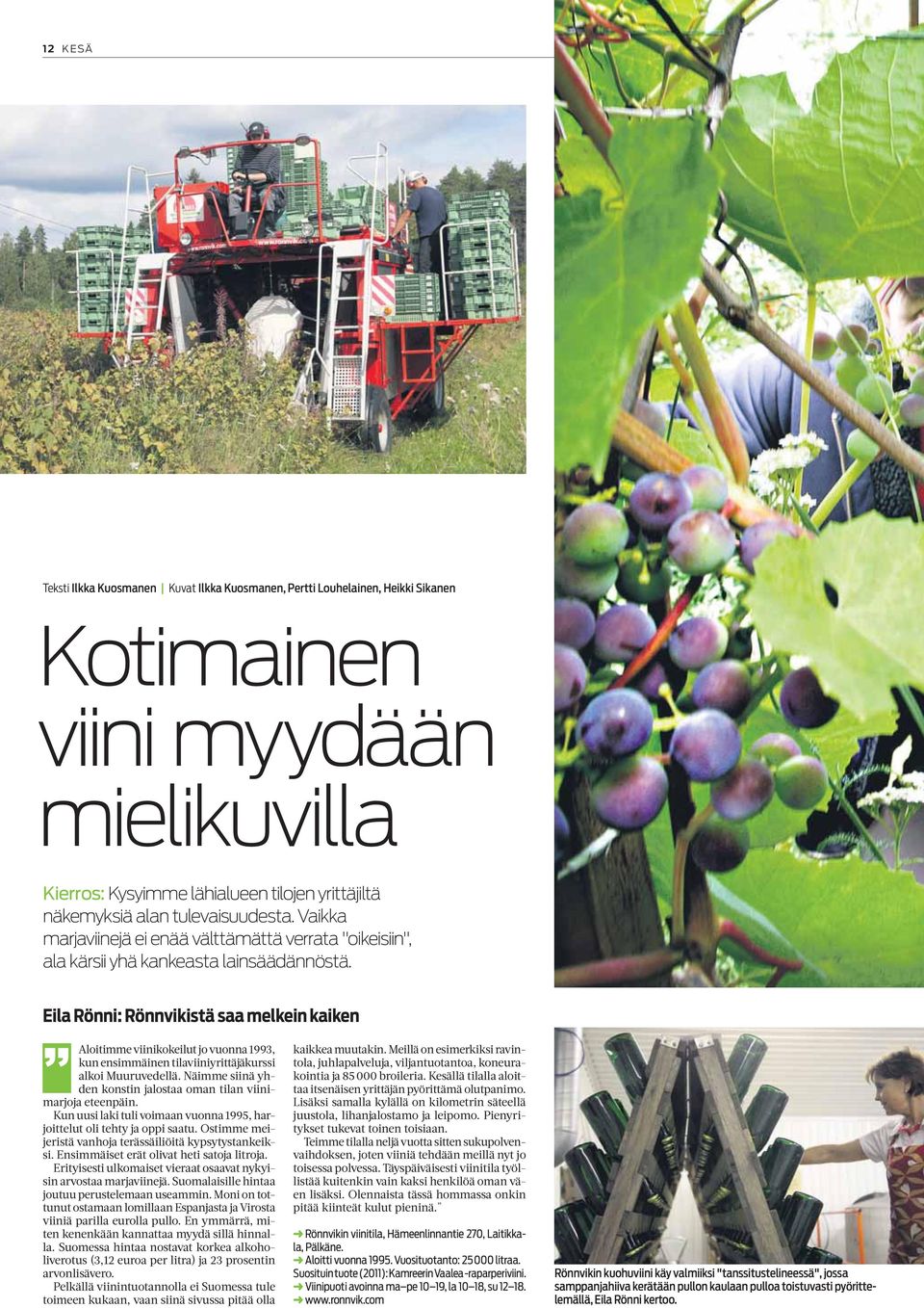 Eila Rönni: Rönnvikistä saa melkein kaiken "Aloitimme viinikokeilut jo vuonna 1993, kun ensimmäinen tilaviiniyrittäjäkurssi alkoi Muuruvedellä.