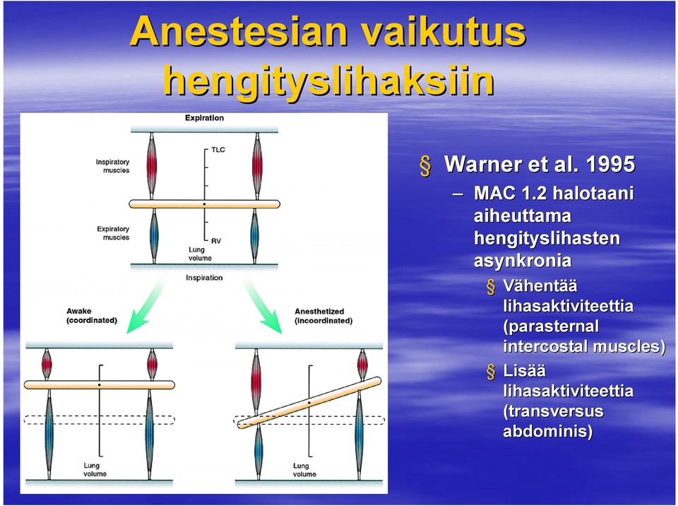 2 halotaani aiheuttama hengityslihasten asynkronia