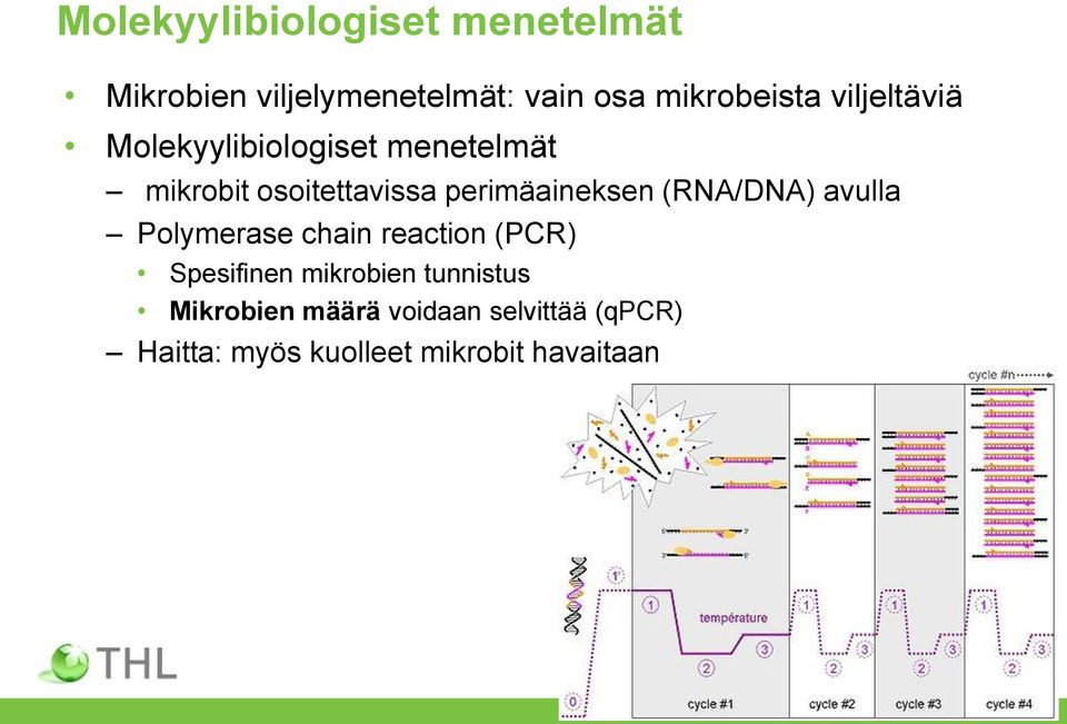 perimäaineksen (RNA/DNA) avulla Polymerase chain reaction (PCR) Spesifinen