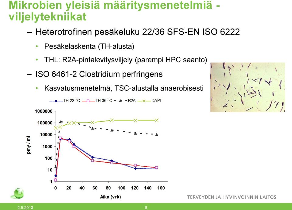 (TH-alusta) THL: R2A-pintalevitysviljely (parempi HPC saanto) ISO