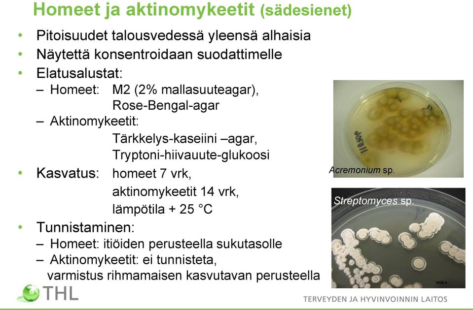 Tryptoni-hiivauute-glukoosi Kasvatus: homeet 7 vrk, aktinomykeetit 14 vrk, lämpötila + 25 C Tunnistaminen: Homeet: