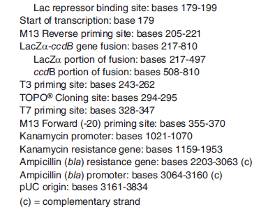 Liite 7 pcr4