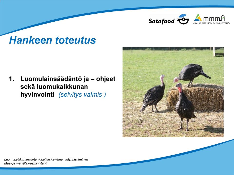 ohjeet sekä