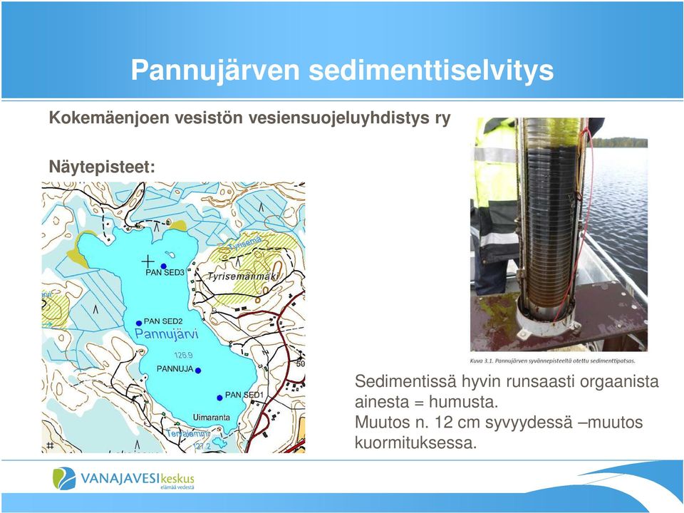 Sedimentissä hyvin runsaasti orgaanista ainesta =