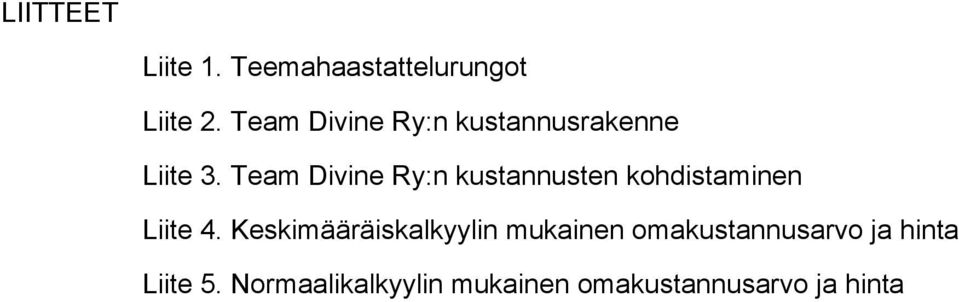 Team Divine Ry:n kustannusten kohdistaminen Liite 4.