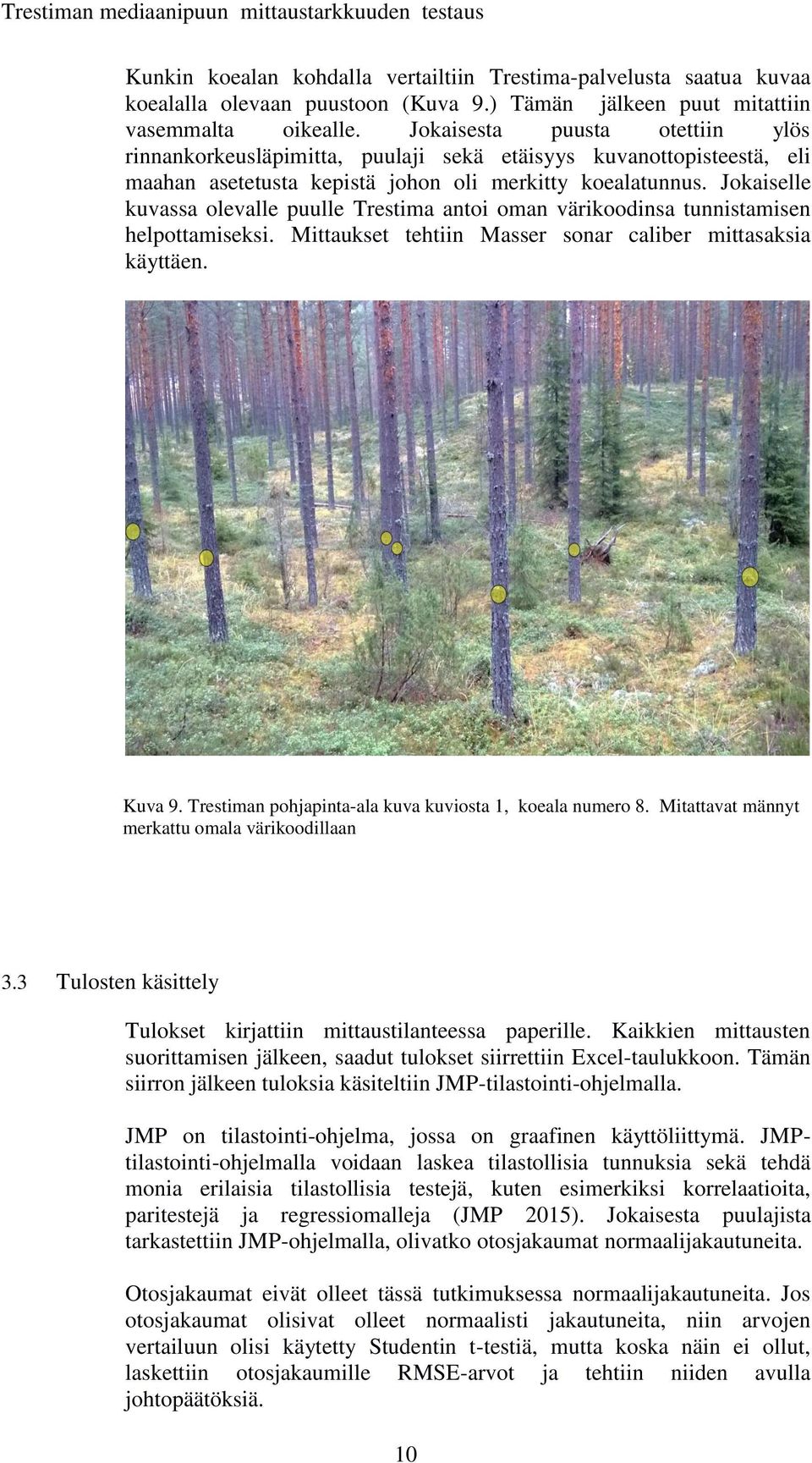 Jokaiselle kuvassa olevalle puulle Trestima antoi oman värikoodinsa tunnistamisen helpottamiseksi. Mittaukset tehtiin Masser sonar caliber mittasaksia käyttäen. Kuva 9.