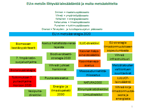 EU tekee metsäpolitiikkaa