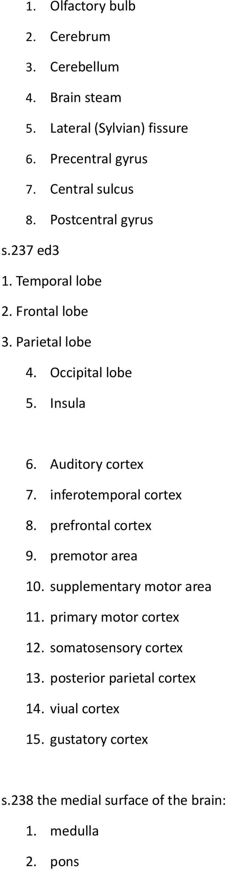 inferotemporal cortex 8. prefrontal cortex 9. premotor area 10. supplementary motor area 11. primary motor cortex 12.