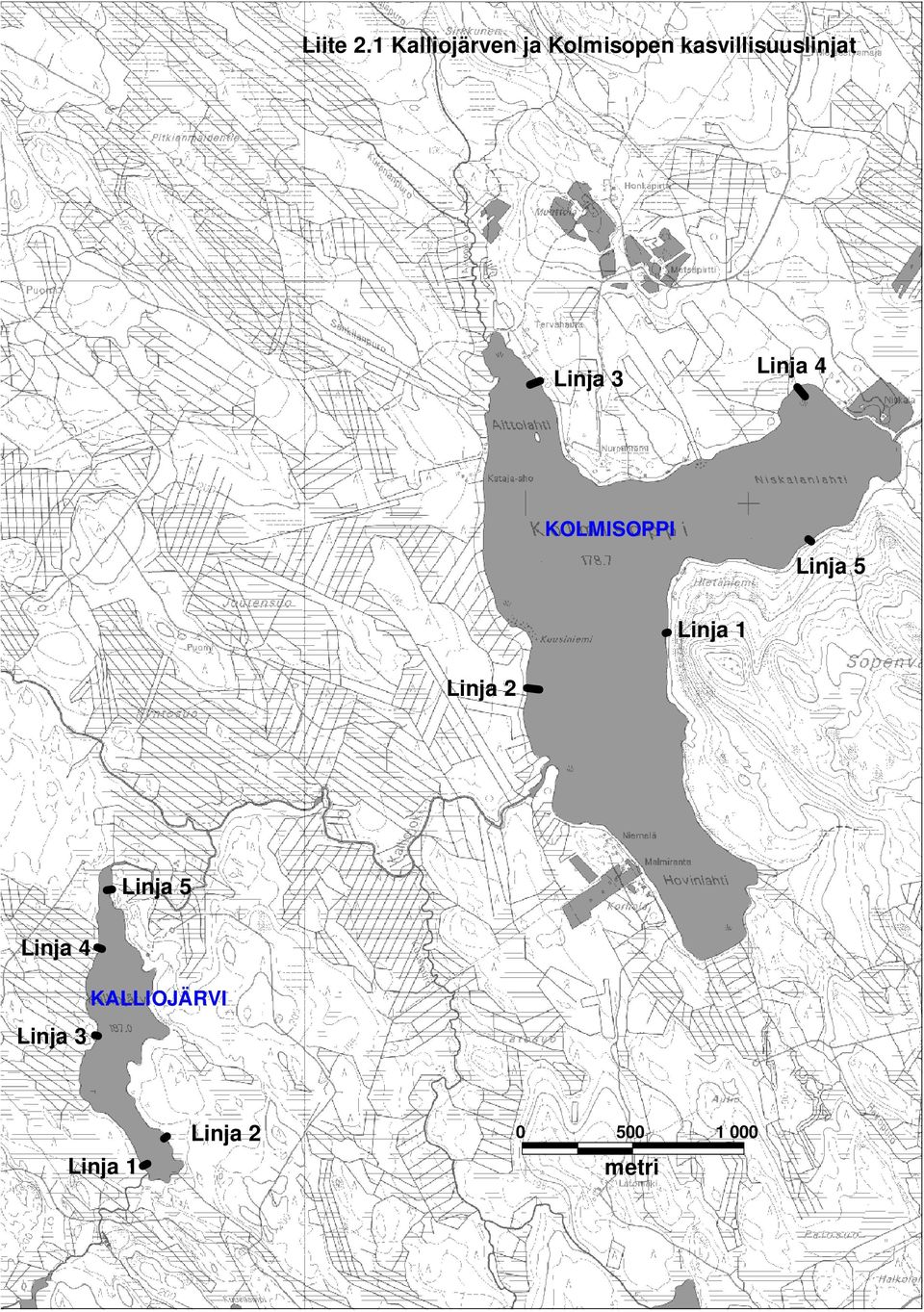 kasvillisuuslinjat Linja 3 Linja 4