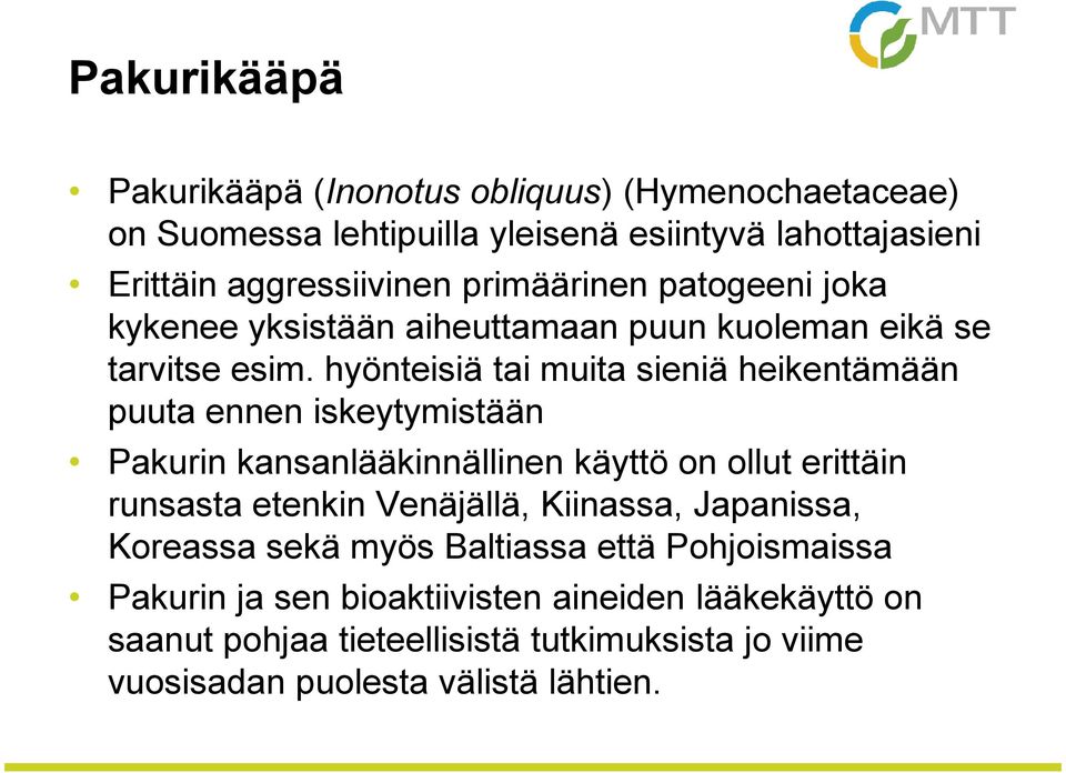 hyönteisiä tai muita sieniä heikentämään puuta ennen iskeytymistään Pakurin kansanlääkinnällinen käyttö on ollut erittäin runsasta etenkin Venäjällä,