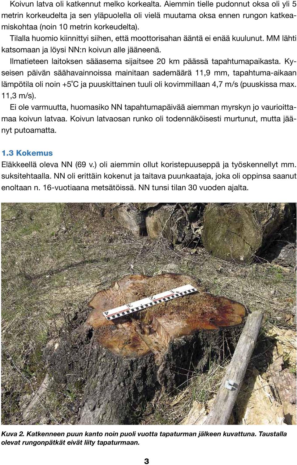 Tilalla huomio kiinnittyi siihen, että moottorisahan ääntä ei enää kuulunut. MM lähti katsomaan ja löysi NN:n koivun alle jääneenä.