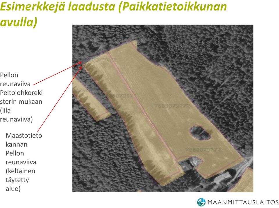 sterin mukaan (lila reunaviiva) Maastotieto