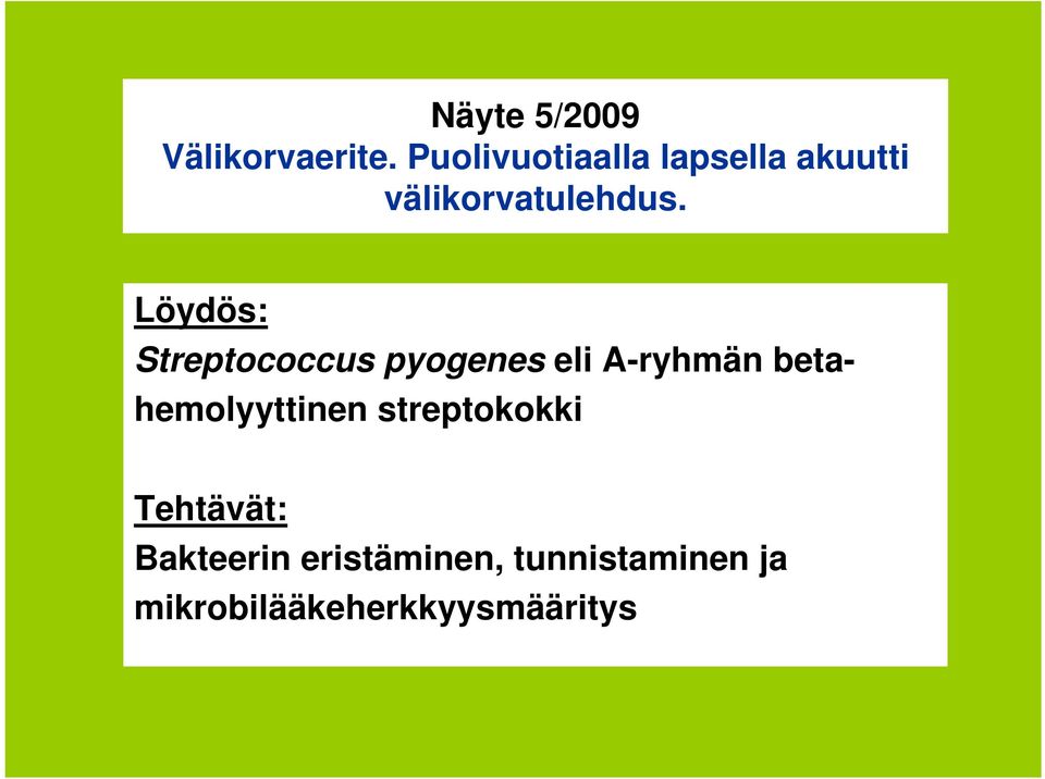 Löydös: Streptococcus pyogenes eli A-ryhmän