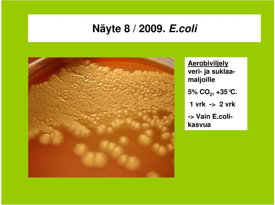 suklaamaljoille 5% CO 2, +35