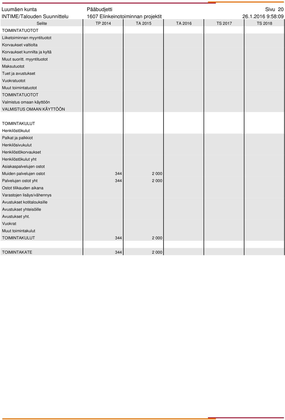 2016 9:58:09 Henkilösivukulut yht Muiden palvelujen ostot 344 2 000