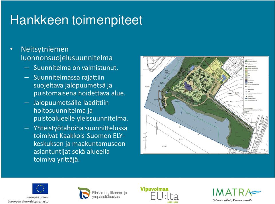 Jalopuumetsälle laadittiin hoitosuunnitelma ja puistoalueelle yleissuunnitelma.