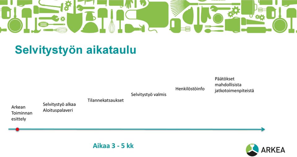 Tilannekatsaukset Selvitystyö valmis