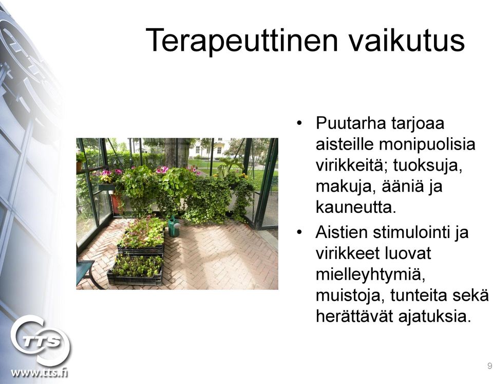 kauneutta.