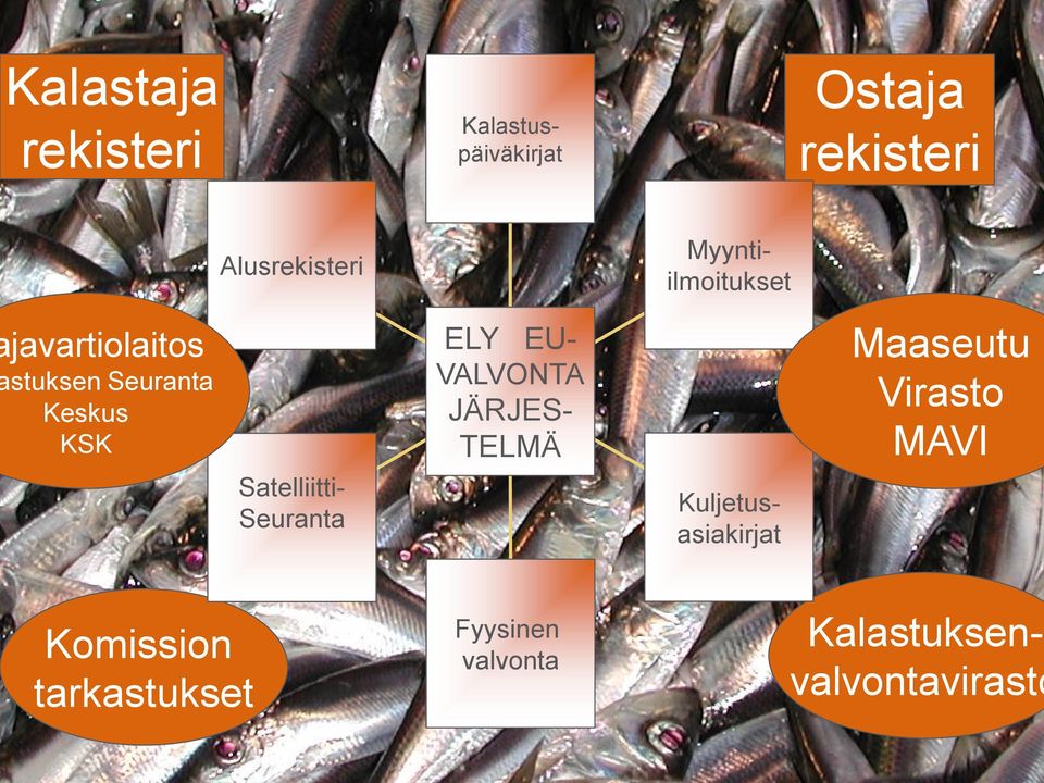 Satelliitti- Seuranta ELY EU- VALVONTA JÄRJES- TELMÄ Kuljetus- asiakirjat