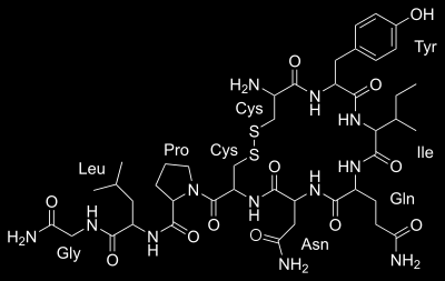 Oksitosiini, PubMed 21280 osumaa Neuropeptidi, joka